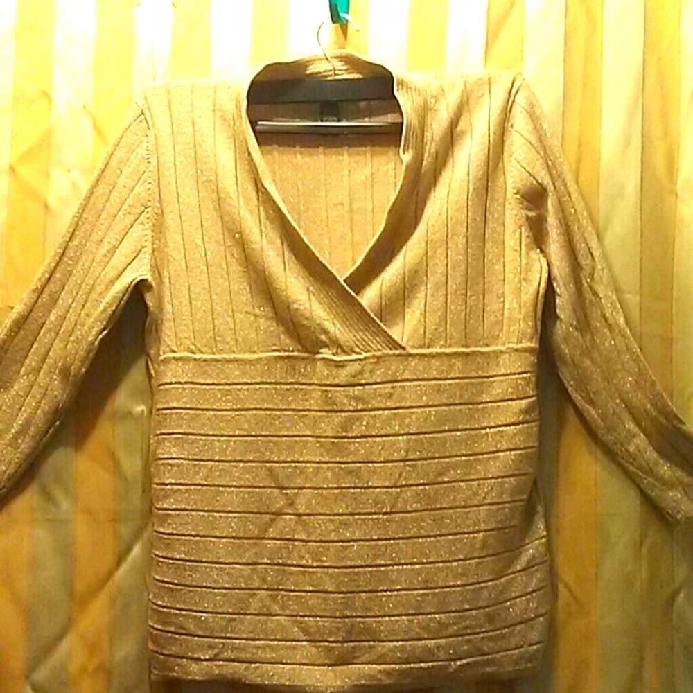 Fitted dressy glitter Top
